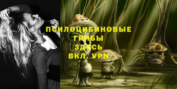 спайс Алексеевка