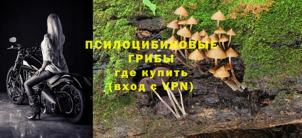 спайс Алексеевка