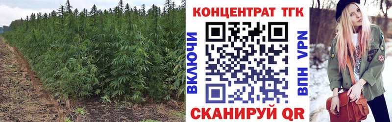 darknet клад  Кизел  ТГК Wax  купить закладку 