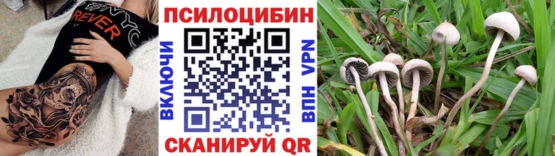 дарнет шоп  Кизел  MEGA   Псилоцибиновые грибы мухоморы 